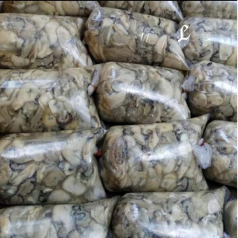 

Daging Tiram / Oyster kupas