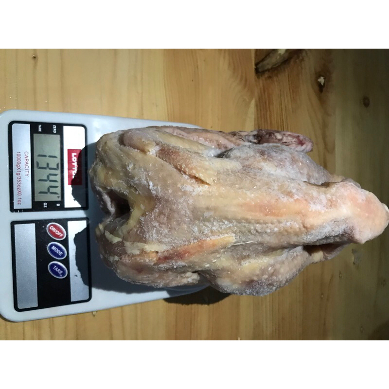 Ayam Broiler 1,2kg - 1,4kg