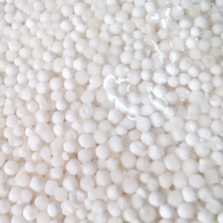 

XXG298 SALE sagu mutiara Thailand kecil 1gram