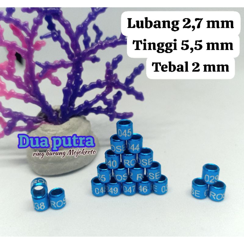 RING KONIN, SOGON,PLECI DEWASA 2.7MM BISA ECER BISA GROSIR WARNA LENGKAP