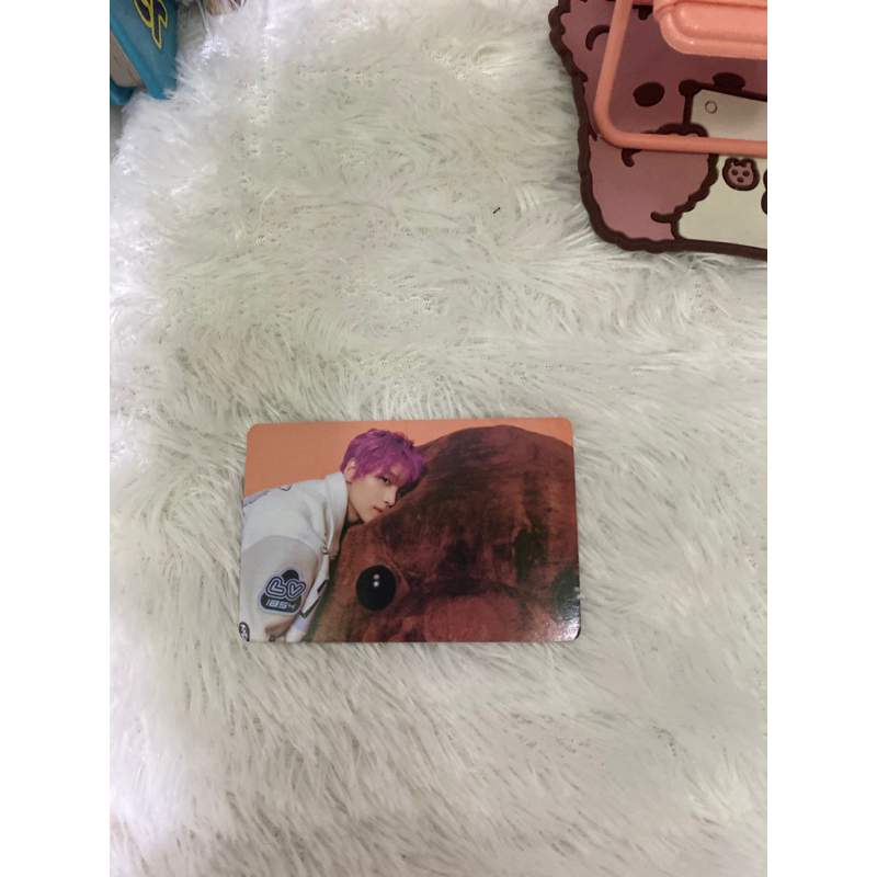 lee haechan photocard ori 100% candy