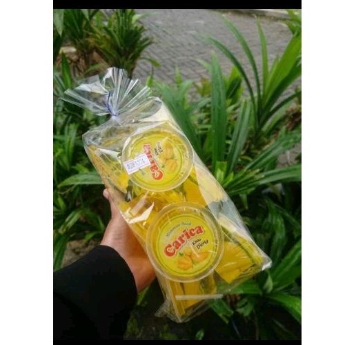 

CARICA KHAS DIENG WONOSOBO