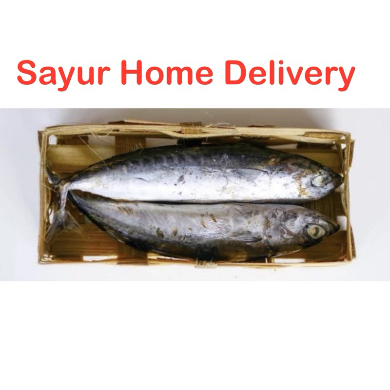 

SayurHD Ikan Cue Pindang 1 Ekor