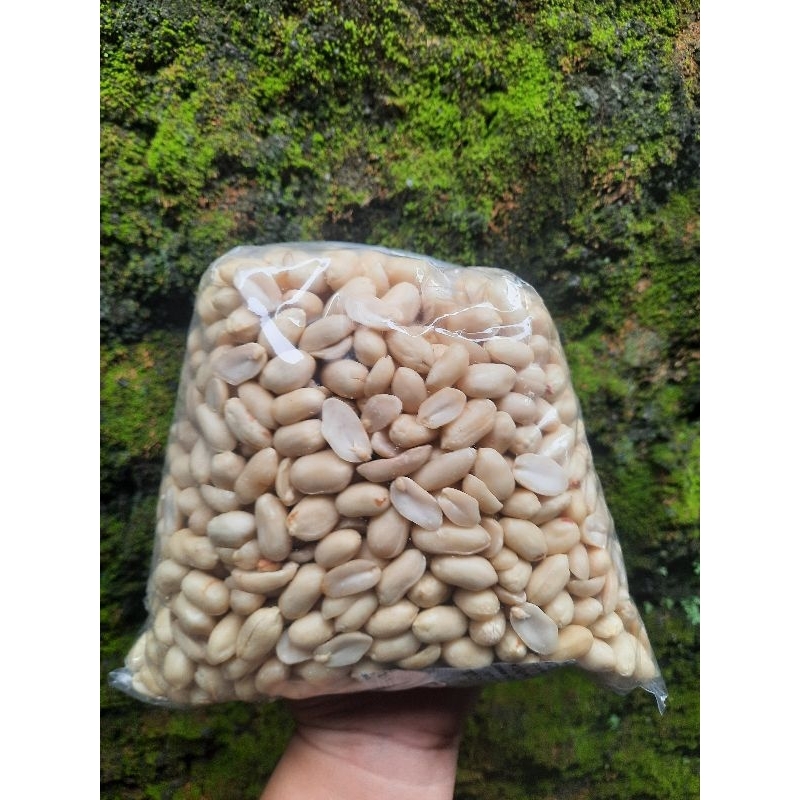 

kacang bangko kupas 1 kg