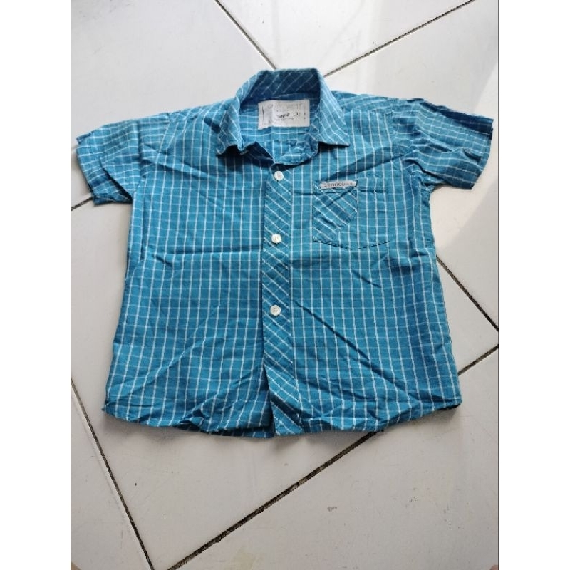Kemeja Cotton Crocodile Original