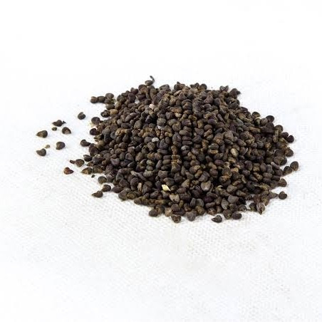 

Dong Gui Zi 冬葵子 Chingma Abutilon Seed Biji Kembang Sore 50 Gr