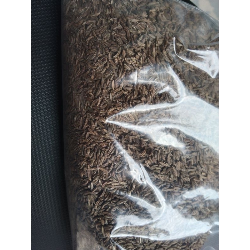 

JINTAN HITAM KASAR BERAT 100 Gram, pengiriman dari Medan.