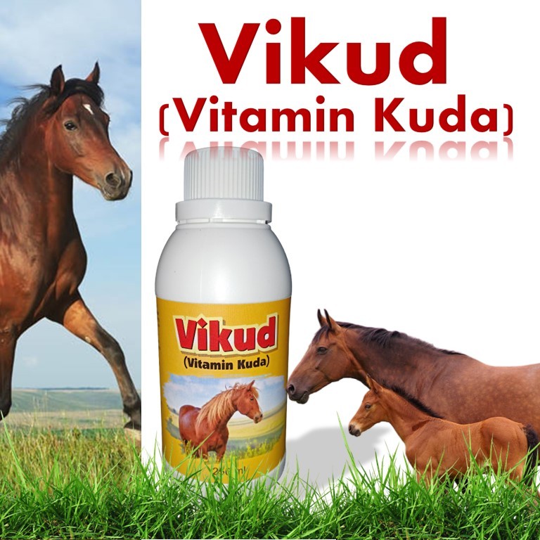 Vitamin kuda 250ml / vitamin kuda pacu / suplemen kuda