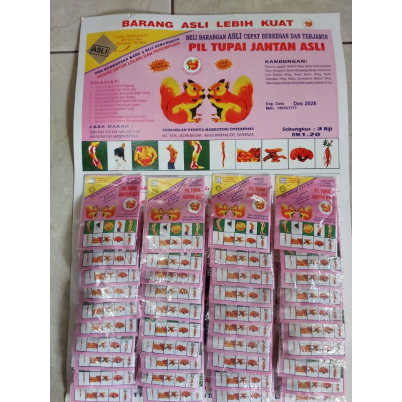 PIL TUPAI JANTAN ASLI