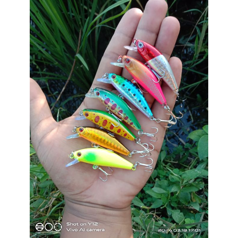 Minnow replika agile