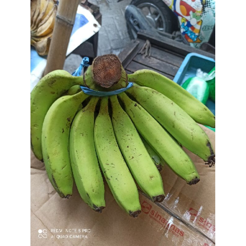 

PISANG IJO