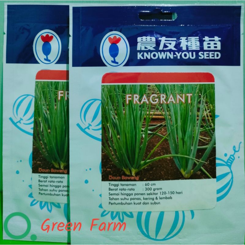 Bawang Daun Fragrant Bawang Prei Kemasan 10gr Original Pabrik Bawang prei Benih Daun Pre