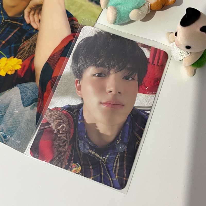 AAB Jeno smcu palace winter 2023