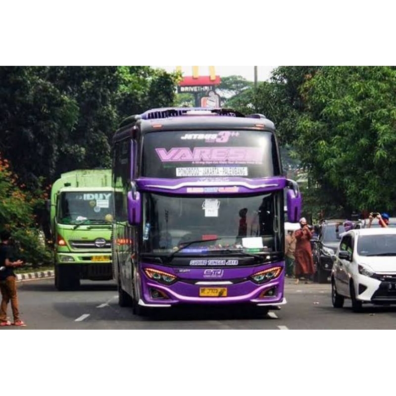 winglet mobil truk dan bus sepasang kiri kanan