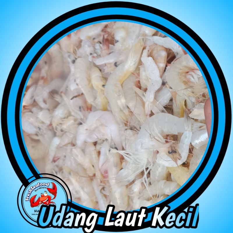 

UDANG LAUT KECIL 1KG