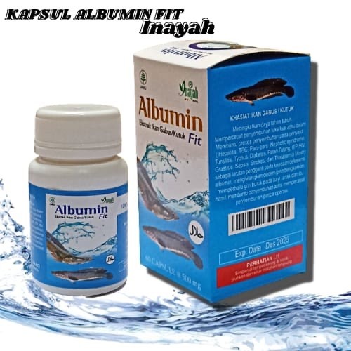 ALBUMIN FIT INAYAH EKSTRAK IKAN GABUS Obat Penyembuhan Pasca Operasi