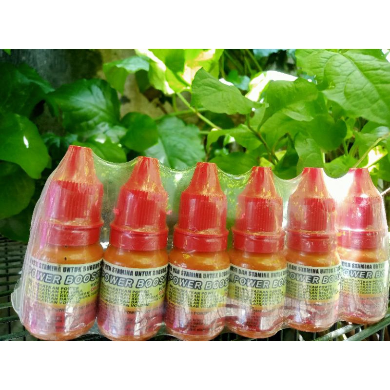POWER BOOSTER 10ml untuk stamina semua burung kicau