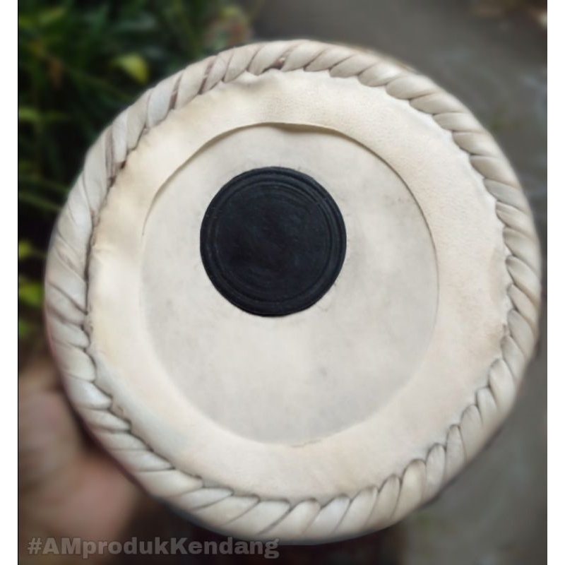 Skin Tabla Bayan Lokal Berkualitas