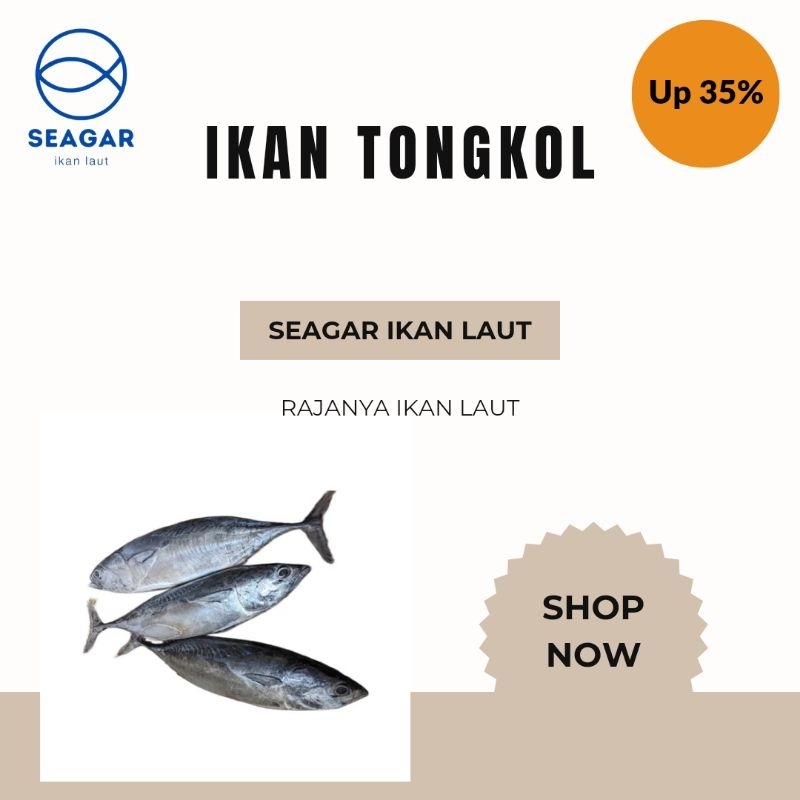 

SEAGAR Ikan Laut Tongkol Kualitas Supermarket 500 gr