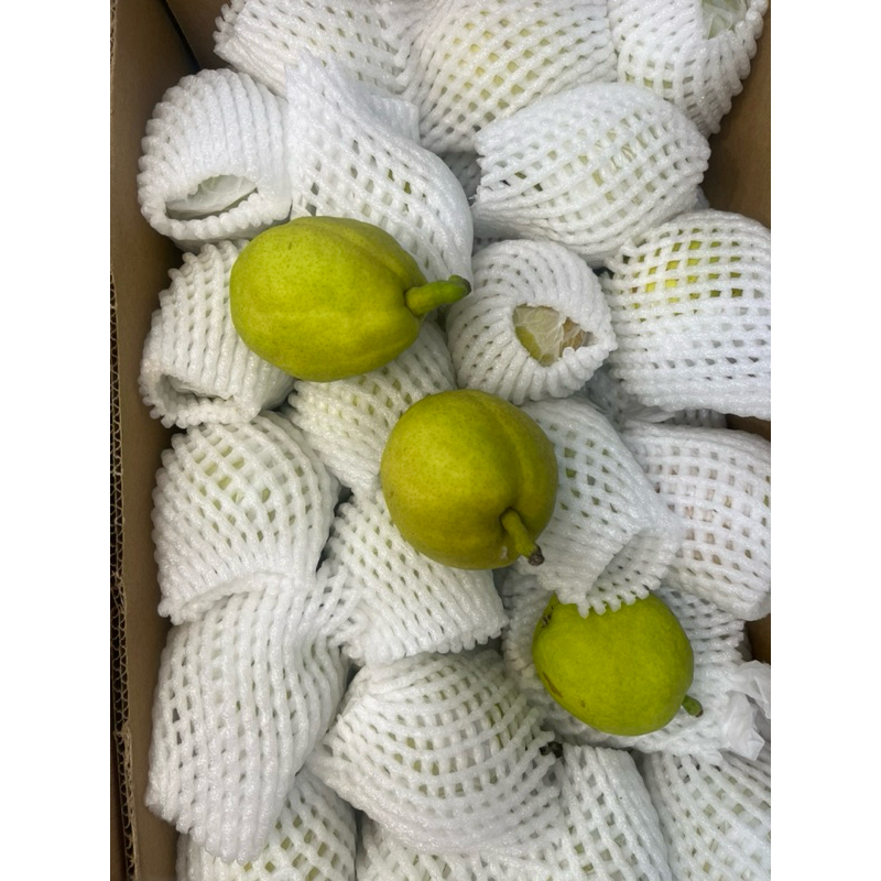 

Pear xianglie hijau adli manis banyak air baru / Hari sembahyang / Buah cheng beng