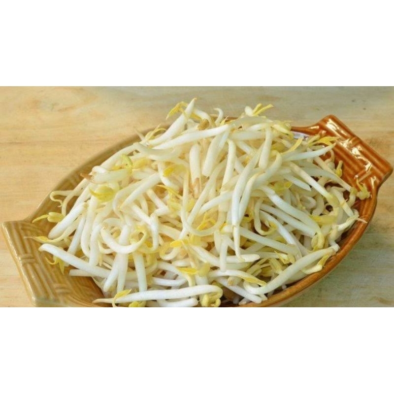 

Toge lokal | fresh | Sayur Pojok