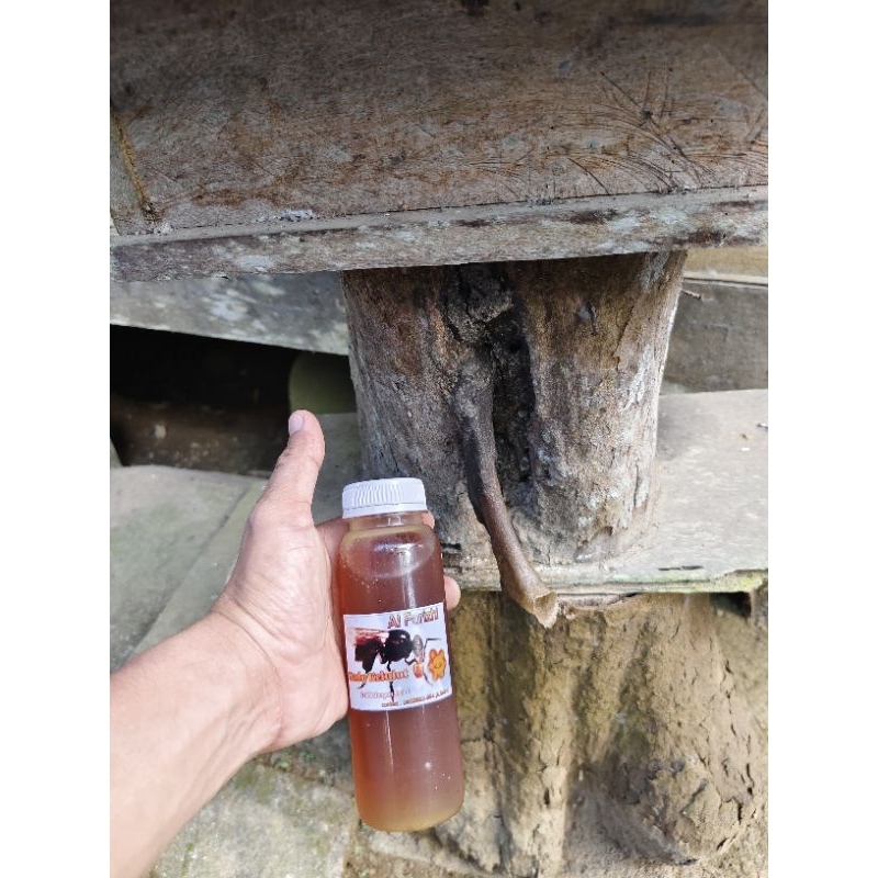 

madu klenceng/ madu kelulut 250 ml. asli 100%