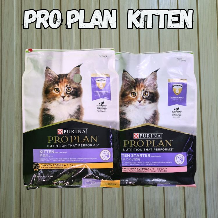 PROPLAN KITTEN 8KG MAKANAN KERING ANAK KUCING 8KG