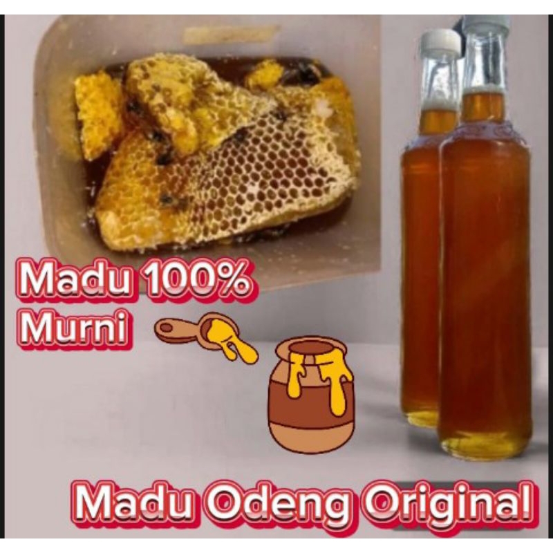 

MADU ODENG HUTAN LIAR SUKU BADUY MADU 100% MURNI