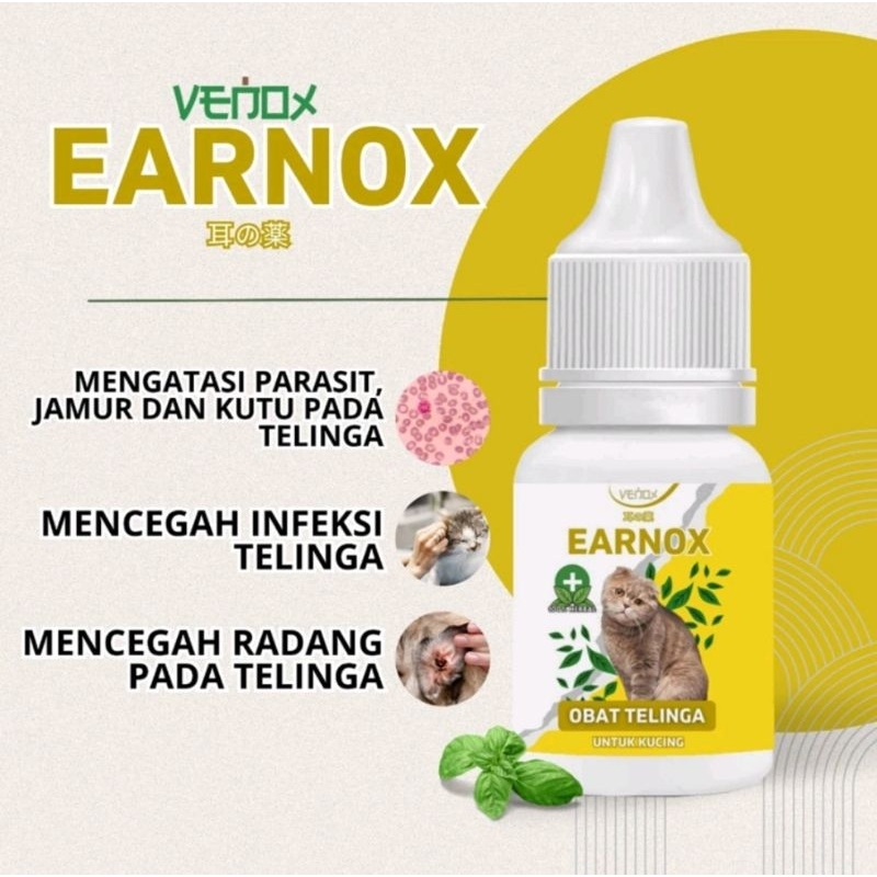 TETES TELINGA KUCING MENGATASI BERBAGAI PERMASALAH TELINGA KUCING
