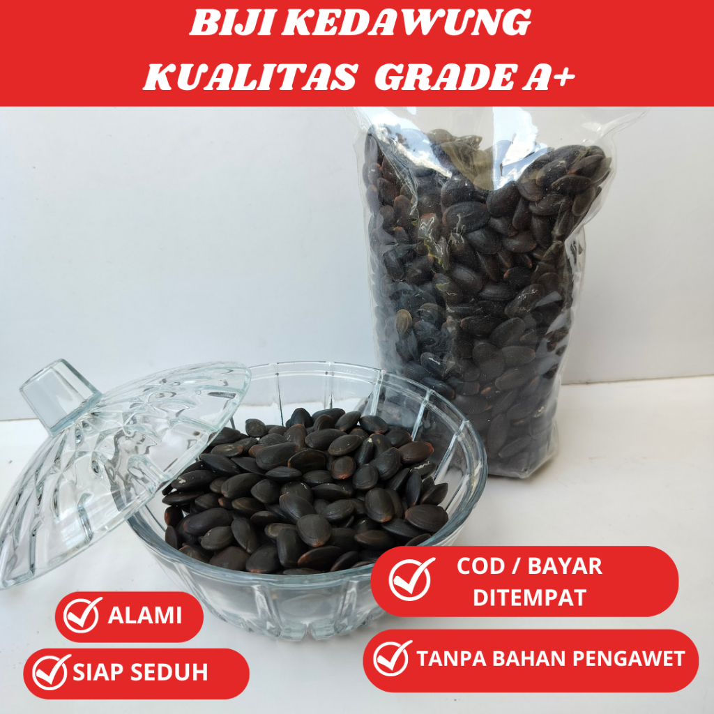 

BIJI KEDAUNG 100% ORIGINAL ALAMI | 500GRAM | 1KG