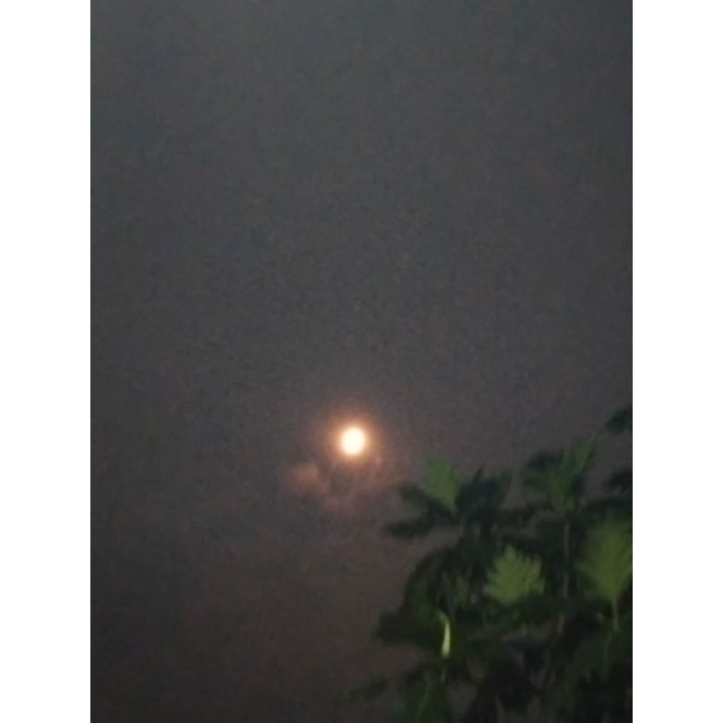 

stiker pesanan khusus