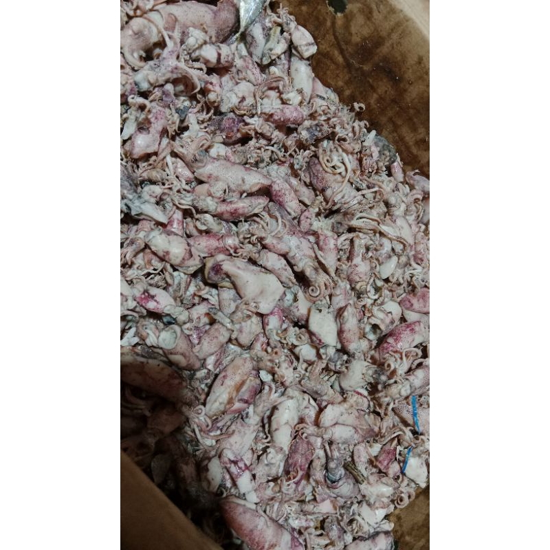 

IKAN CUMI ASIN
