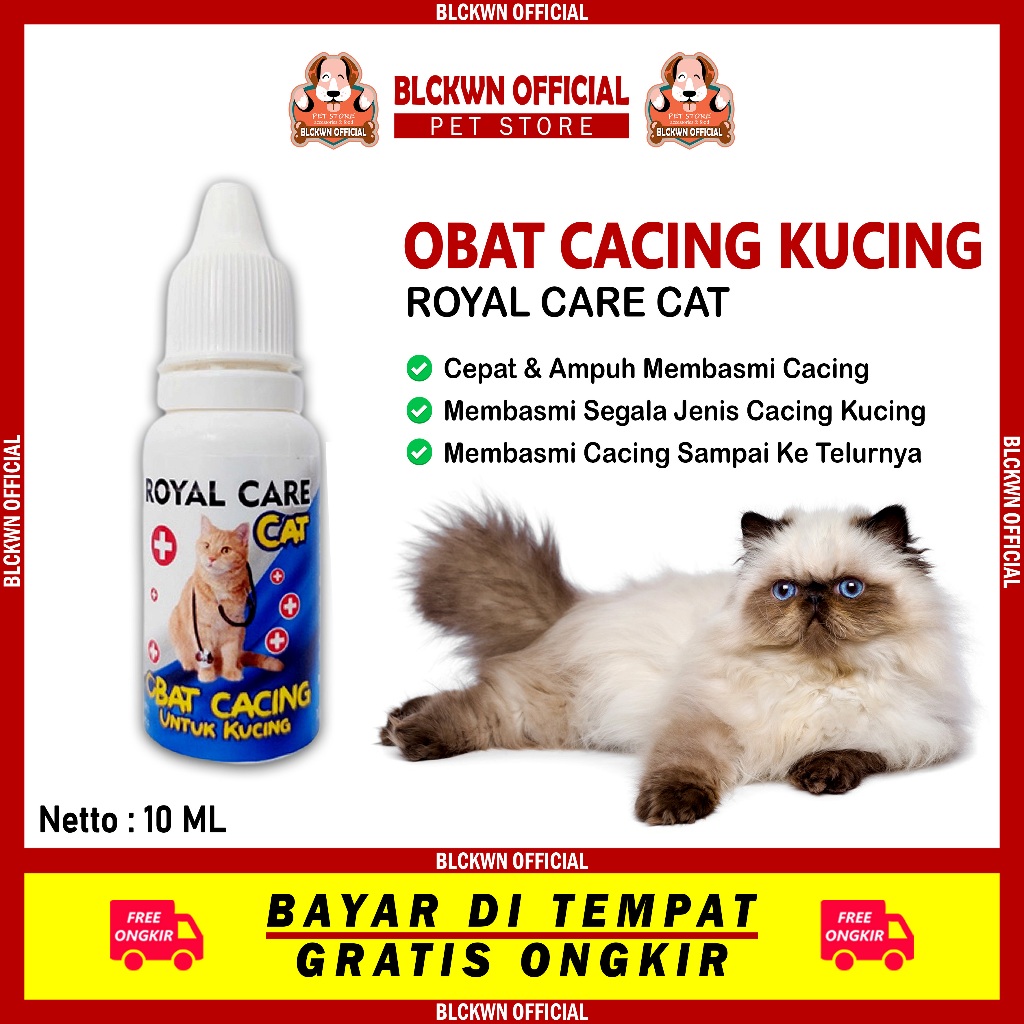 Obat Cacing Kucing Ampuh Menyembuhkan Kucing Cacingan
