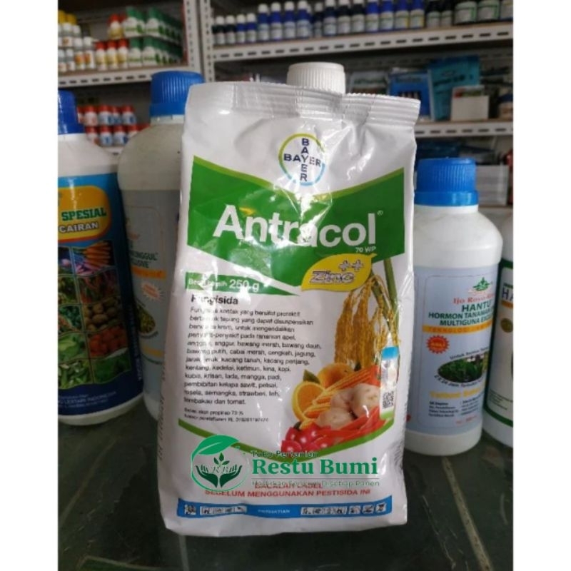 ANTRACOL 1KG ORIGINAL 100%