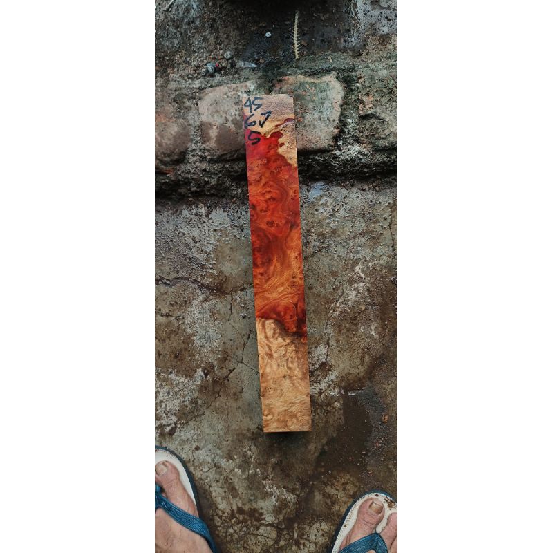 Burl Amboyna 30324005