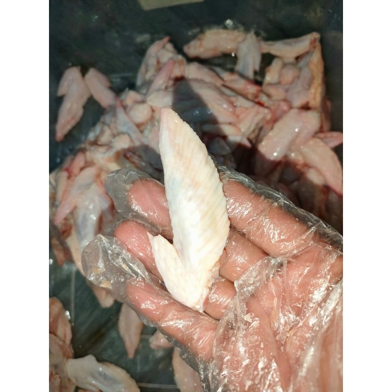 wingtip/sayap ayam bagian paling atas