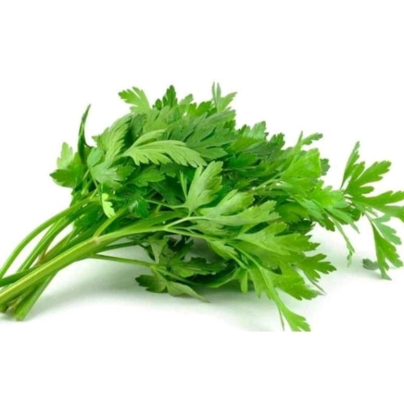 

SLEDRI 500G 1KG / SELEDRI / JAMIN SEGAR
