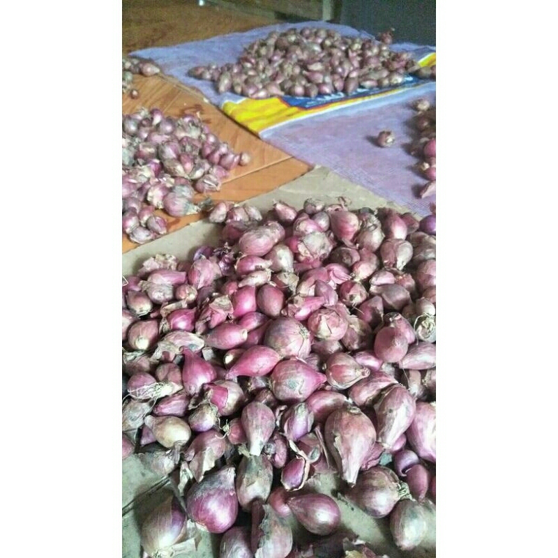 

1KG BAWANG MERAH LOKAL