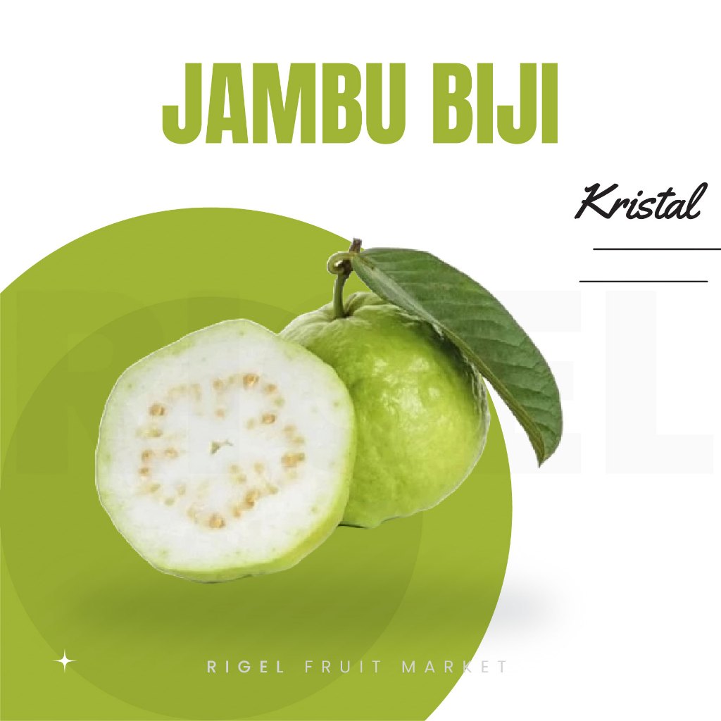 

Jambu Biji Kristal