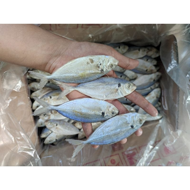 

ikan asin selar jumbo 1/4 kg (250 gram)