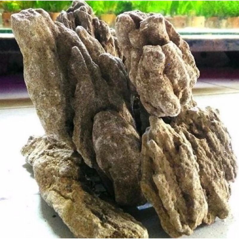 Batu Pasir Aquascape/sand stone Aquascape Aquarium 1kg