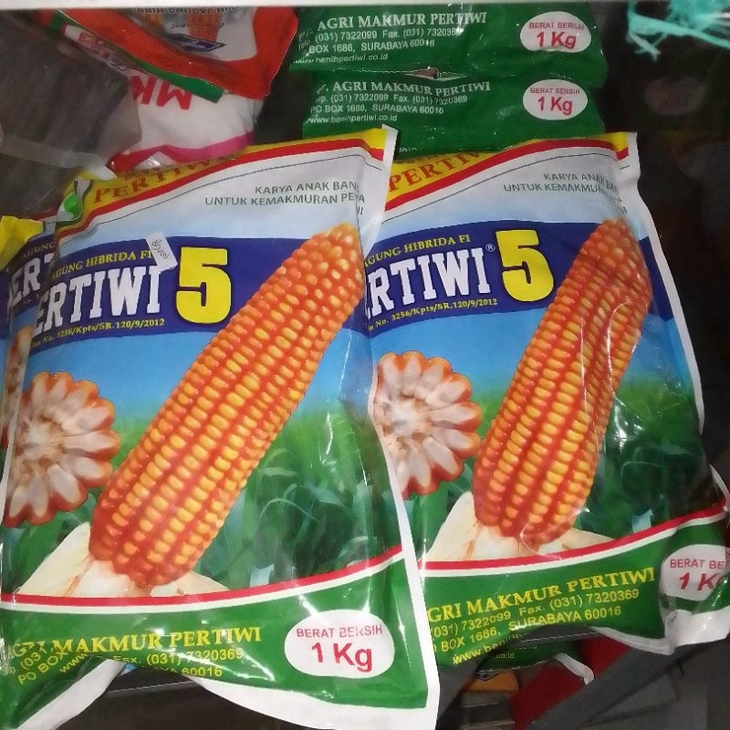 benih jagung hibrida super Pertiwi 5 Netto 1 kg