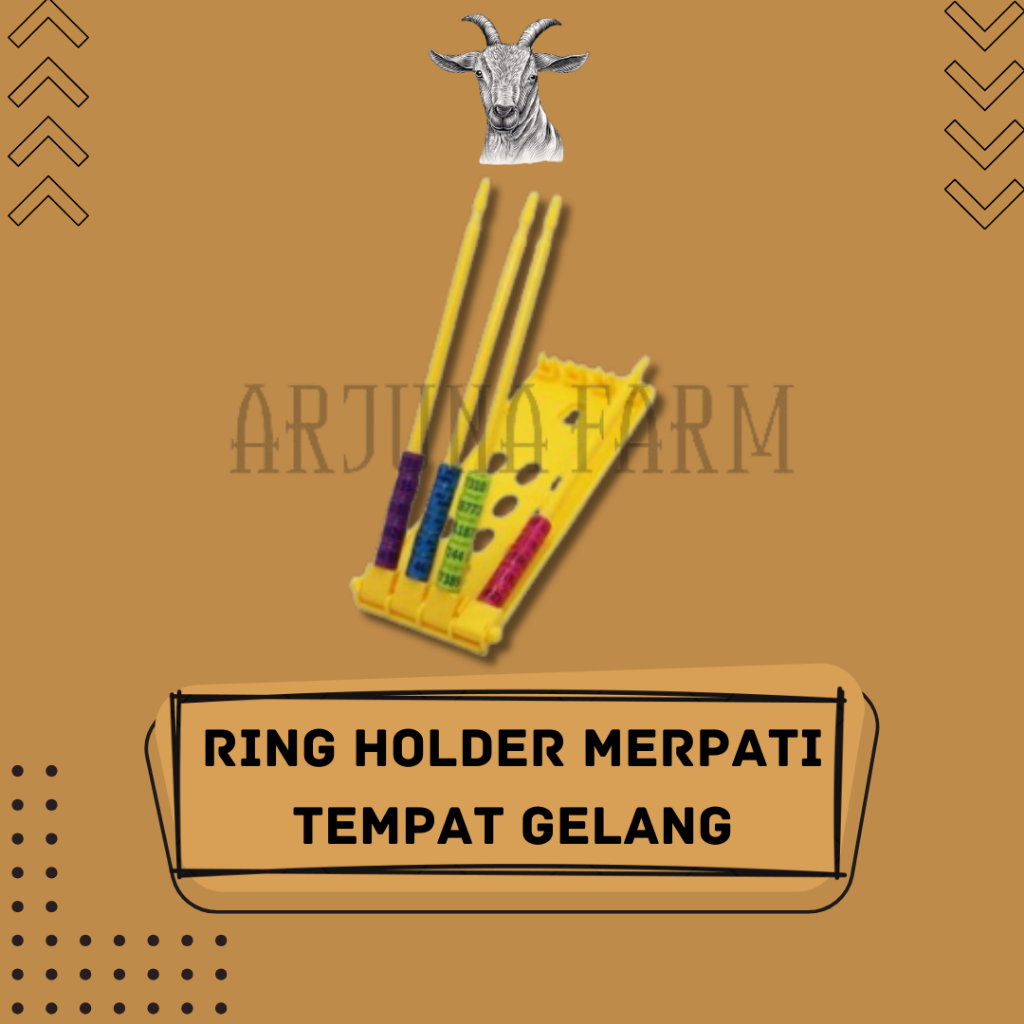 Frame Ring Clip Ring Holder Merpati Tempat Gelang Burung Merpati