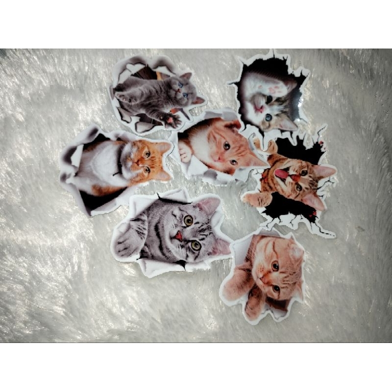 

stiker kucing 3d mini stiker kucing kecil 3d stiker kucing lucu stiker kucing palingan dicari