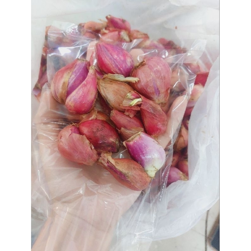 

Bawang merah brebes