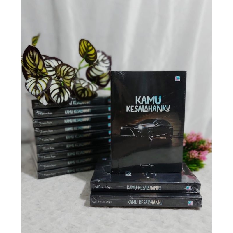 Novel Yuwen Aqsa/Story of Rayden