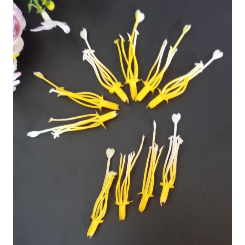 putik bunga imitasi putik bunga stoking putik bunga hias putik bunga lili kuning putik bunga warna