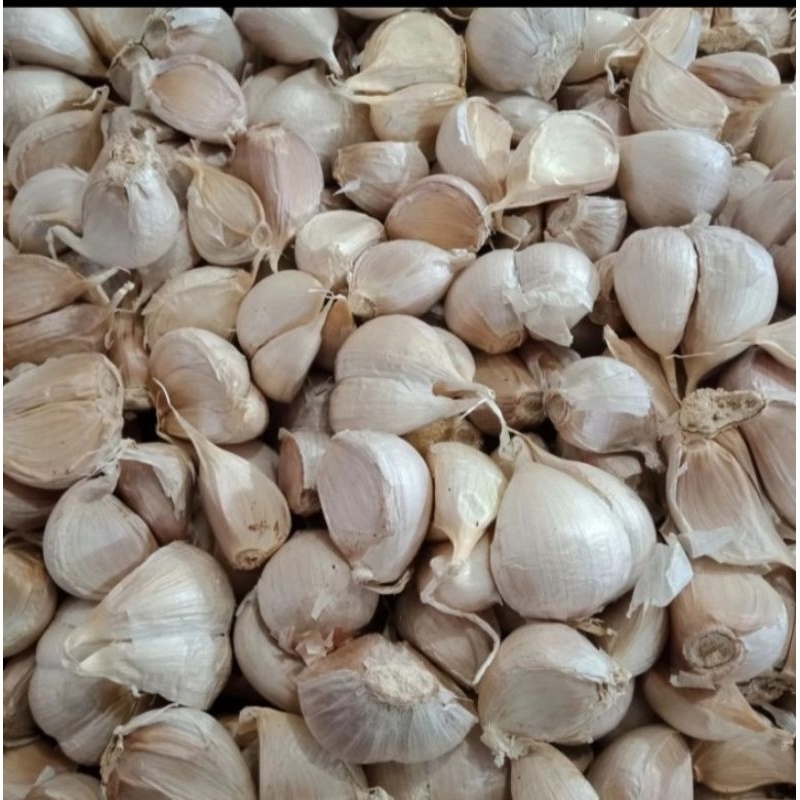 

Bawang Putih Kating 250 gram