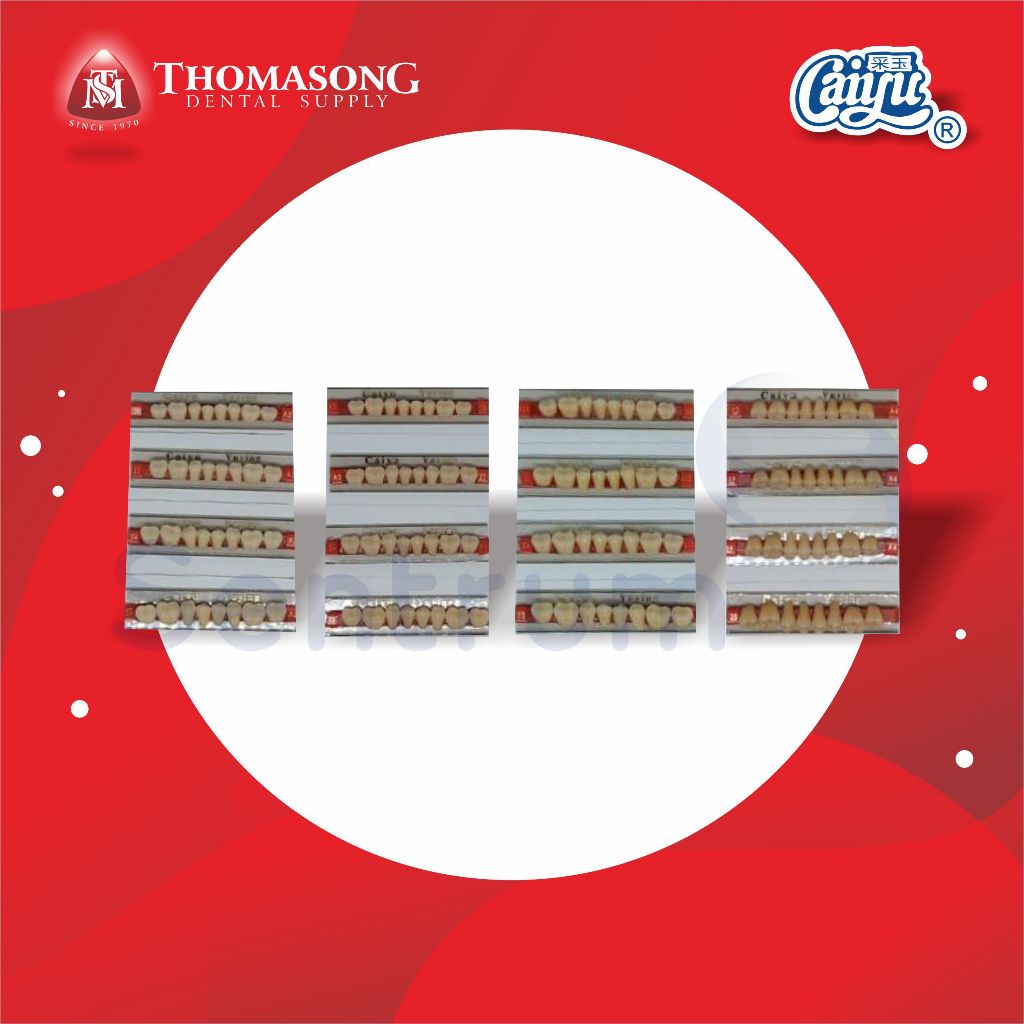 Gigi Palsu CAIYU POSTERIOR BAWAH