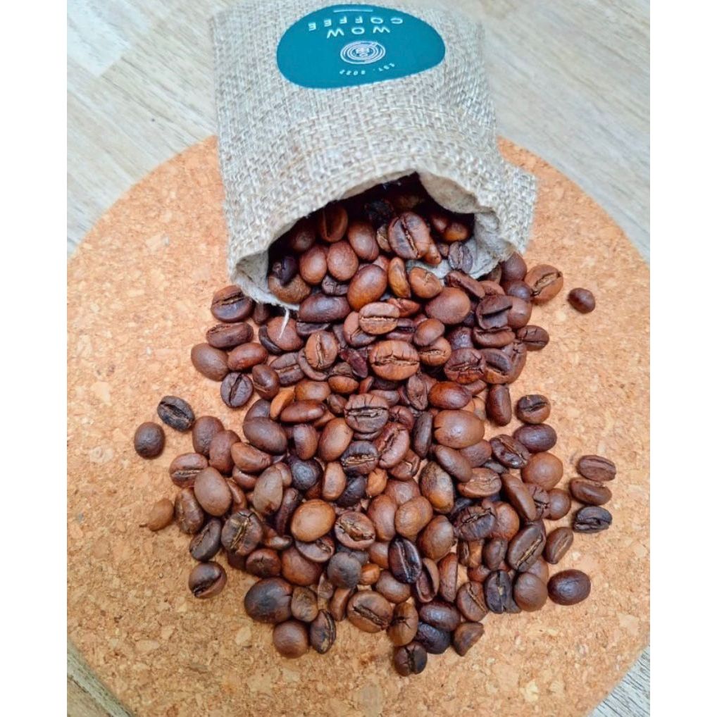 

Wow Coffee 200 gr Biji Kopi Premium Arabika Arjuno